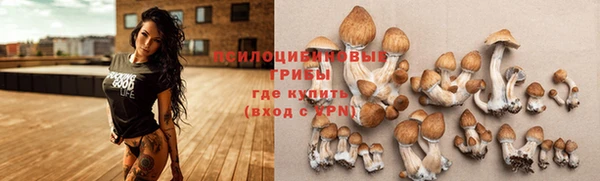 mix Арсеньев
