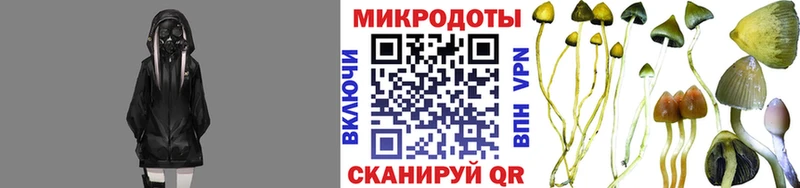 Псилоцибиновые грибы MAGIC MUSHROOMS  Москва 